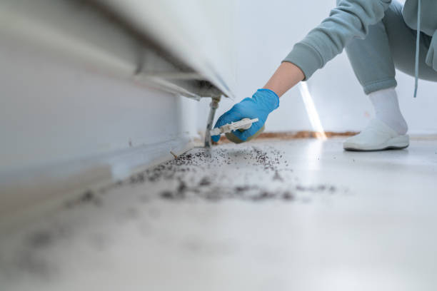 Best Affordable Pest Control Services  in Murfreesboro, AR